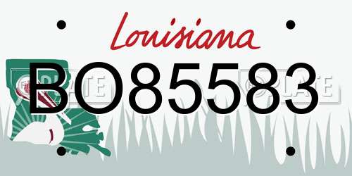 BO85583 Louisiana License Plate