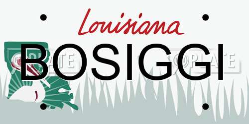 BOSIGGI Louisiana License Plate