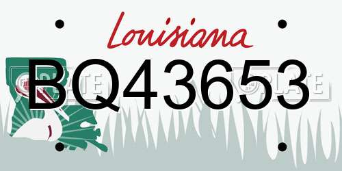 BQ43653 Louisiana License Plate