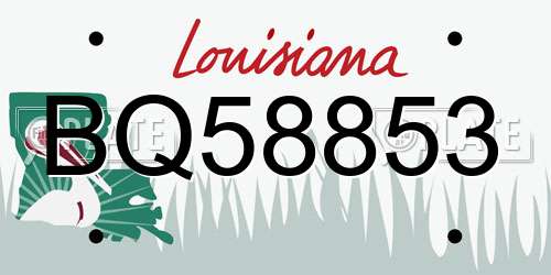 BQ58853 Louisiana License Plate