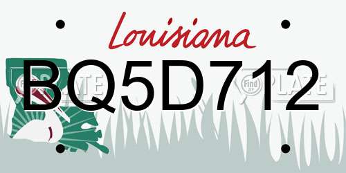 BQ5D712 Louisiana License Plate