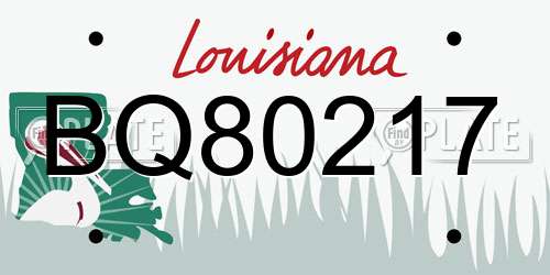 BQ80217 Louisiana License Plate