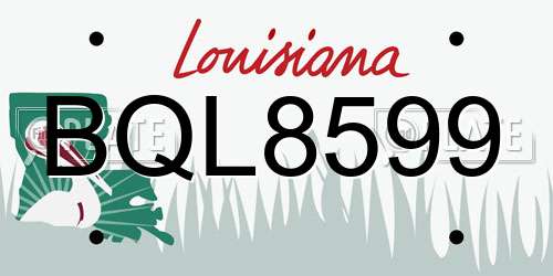 BQL8599 Louisiana License Plate