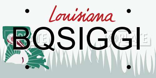 BQSIGGI Louisiana License Plate