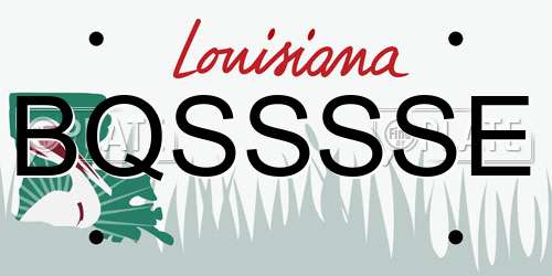 BQSSSSE Louisiana License Plate