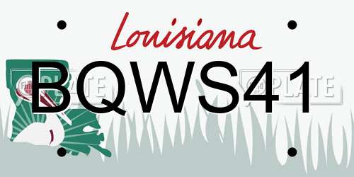 BQWS41 Louisiana License Plate