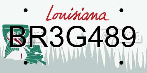 BR3G489 Louisiana License Plate