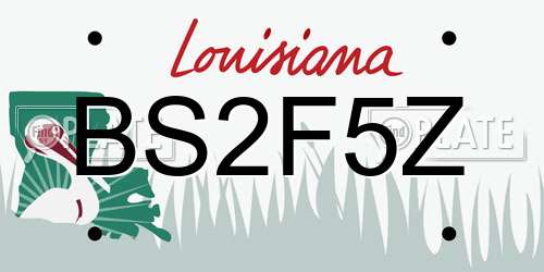 BS2F5Z Louisiana License Plate