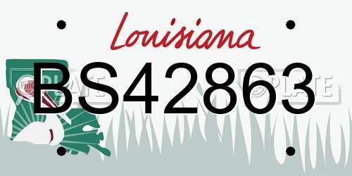 BS42863 Louisiana License Plate