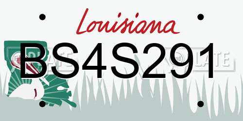 BS4S291 Louisiana License Plate