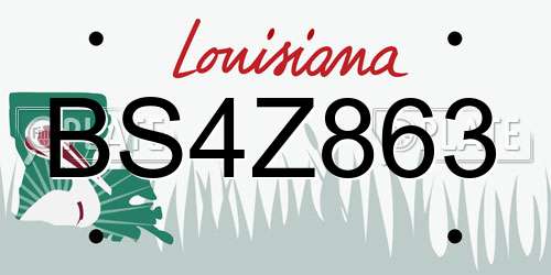 BS4Z863 Louisiana License Plate