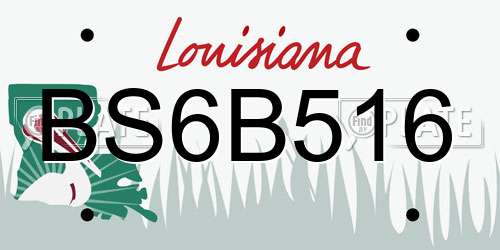 BS6B516 Louisiana License Plate
