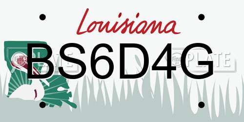 BS6D4G Louisiana License Plate