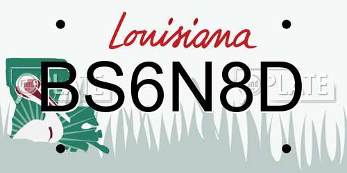 BS6N8D Louisiana License Plate