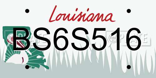 BS6S516 Louisiana License Plate