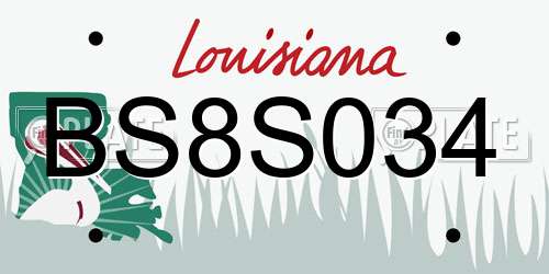 BS8S034 Louisiana License Plate