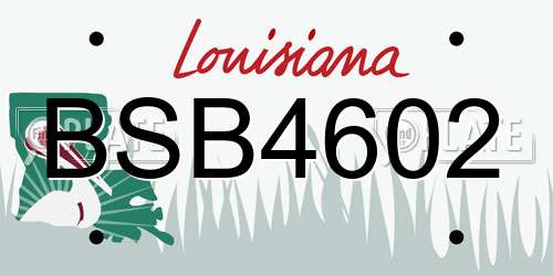 BSB4602 Louisiana License Plate