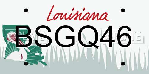 BSGQ46 Louisiana License Plate