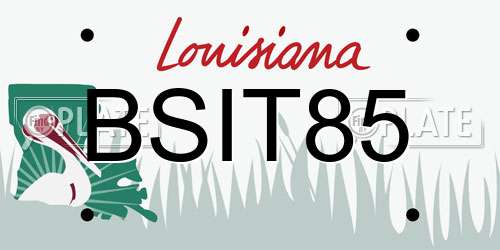 BSIT85 Louisiana License Plate