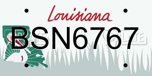 BSN6767 Louisiana License Plate