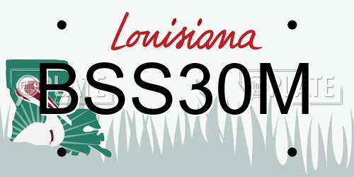 BSS30M Louisiana License Plate