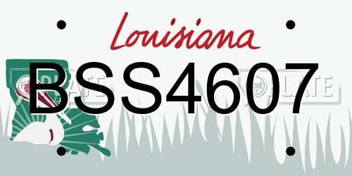 BSS4607 Louisiana License Plate