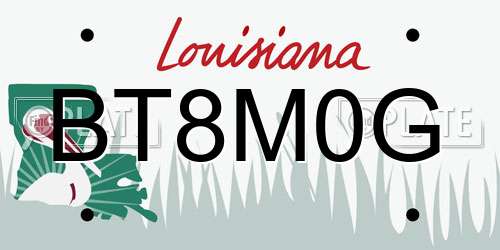 BT8M0G Louisiana License Plate