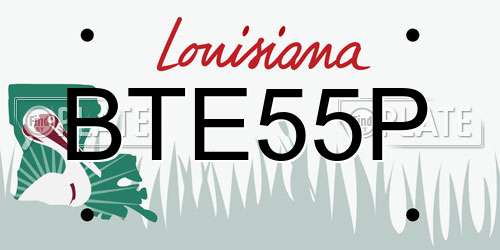 BTE55P Louisiana License Plate