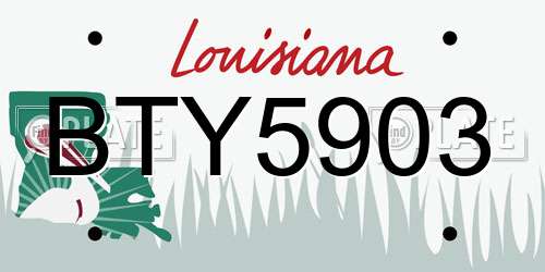 BTY5903 Louisiana License Plate