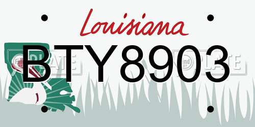 BTY8903 Louisiana License Plate