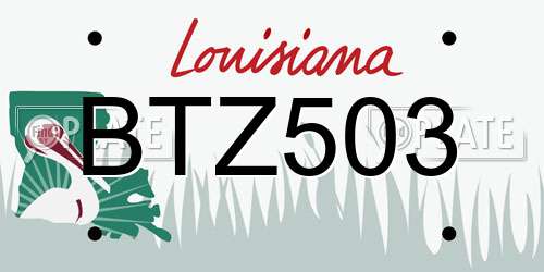 BTZ503 Louisiana License Plate