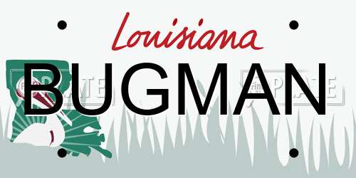 BUGMAN Louisiana License Plate