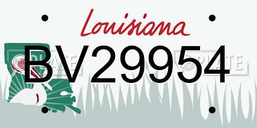 BV29954 Louisiana License Plate