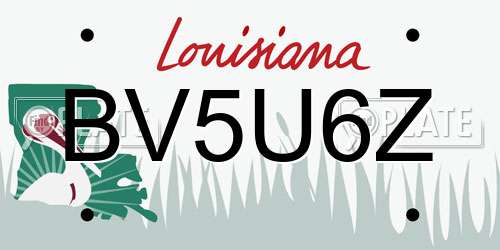 BV5U6Z Louisiana License Plate