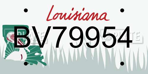 BV79954 Louisiana License Plate