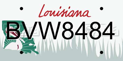 BVW8484 Louisiana License Plate