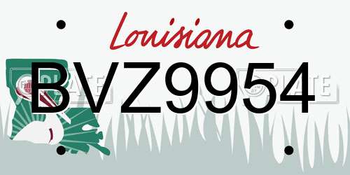 BVZ9954 Louisiana License Plate