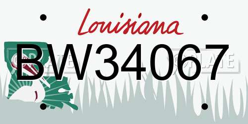 BW34067 Louisiana License Plate