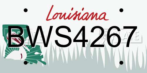 BWS4267 Louisiana License Plate