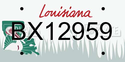 BX12959 Louisiana License Plate