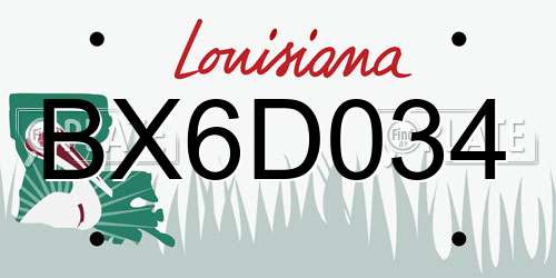 BX6D034 Louisiana License Plate