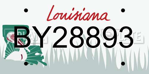 BY28893 Louisiana License Plate