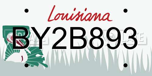 BY2B893 Louisiana License Plate