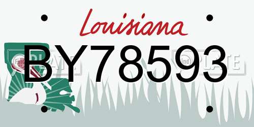 BY78593 Louisiana License Plate