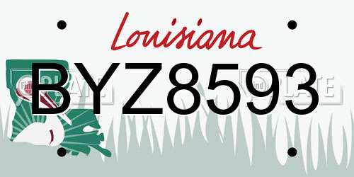 BYZ8593 Louisiana License Plate
