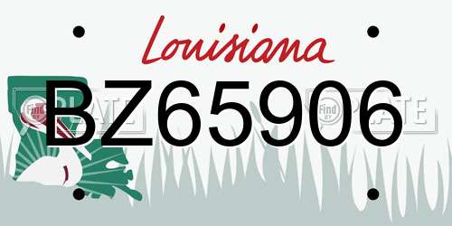 BZ65906 Louisiana License Plate
