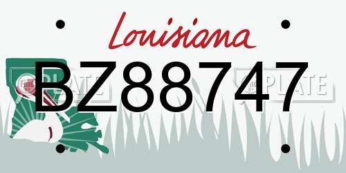 BZ88747 Louisiana License Plate