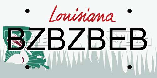 BZBZBEB Louisiana License Plate