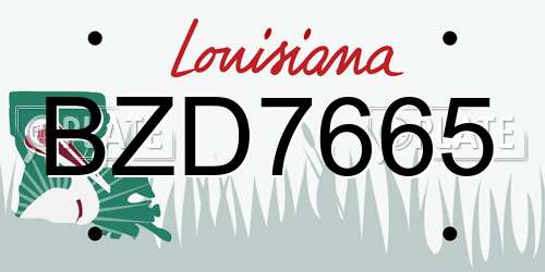 BZD7665 Louisiana License Plate