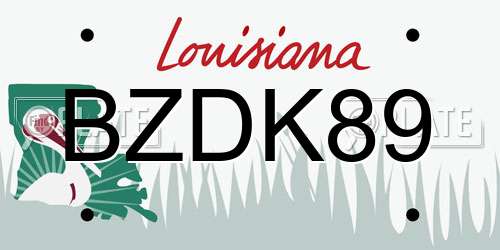 BZDK89 Louisiana License Plate